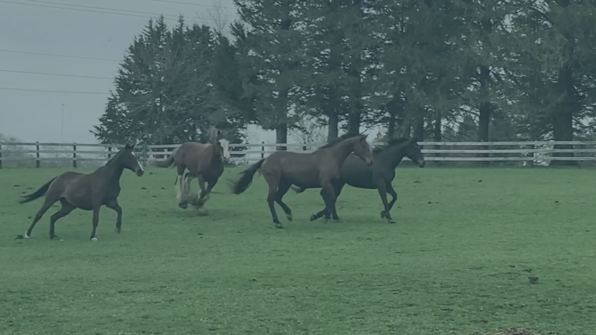 13 Bad Habits That Complicate Your Work And Life