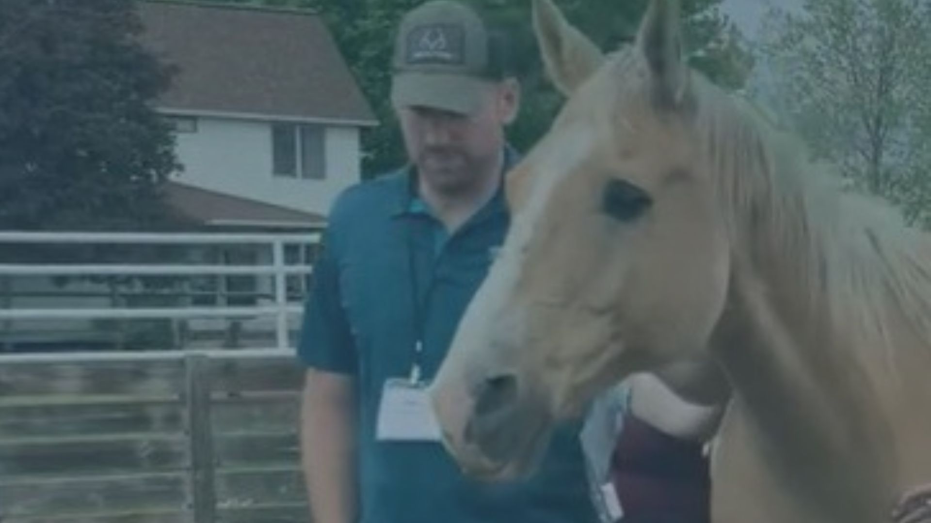 A Team + A Horse = Effective Leadership