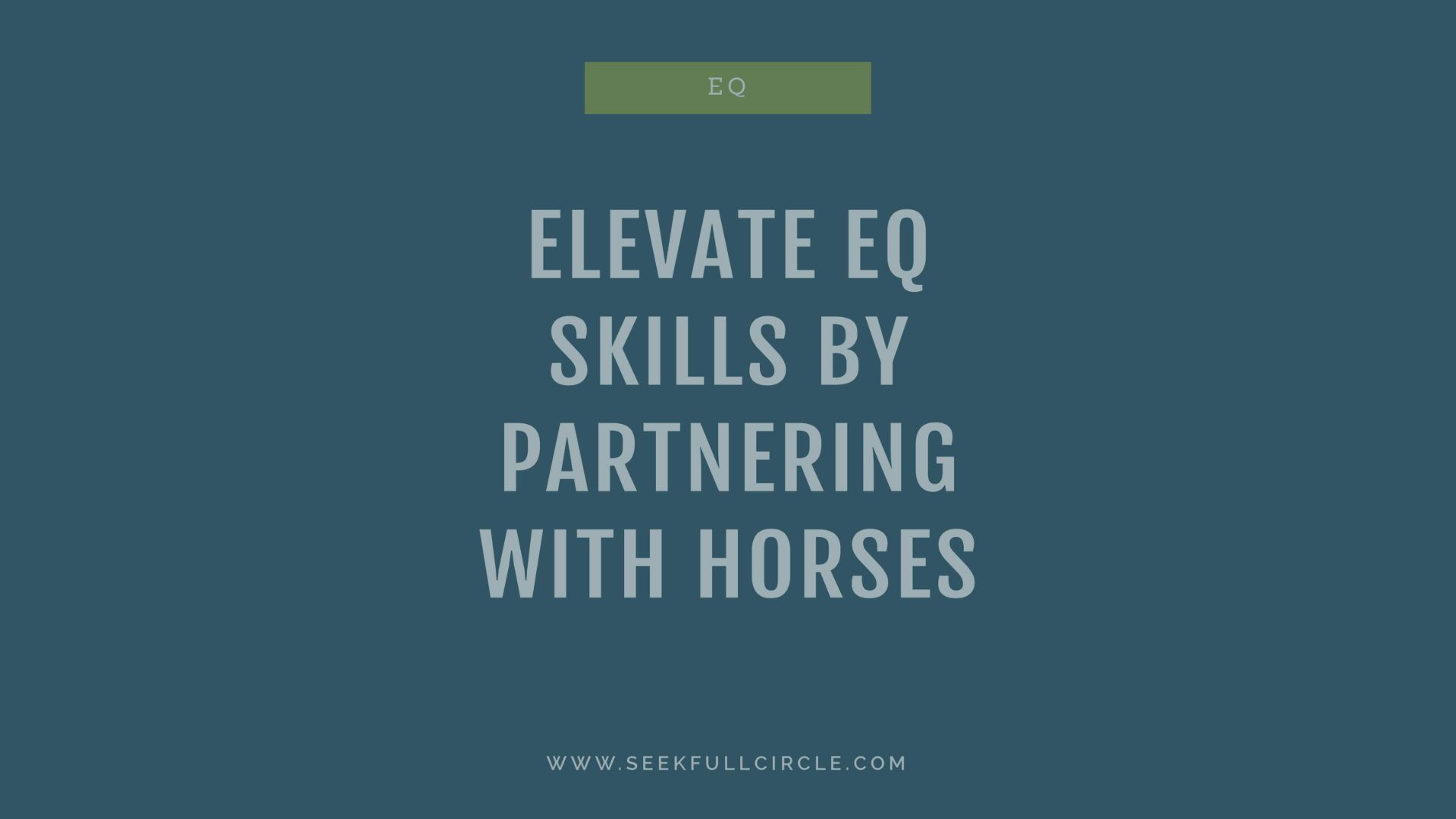 Elevate Emotional Intelligence (EQ) Skills by Partnering With Horses