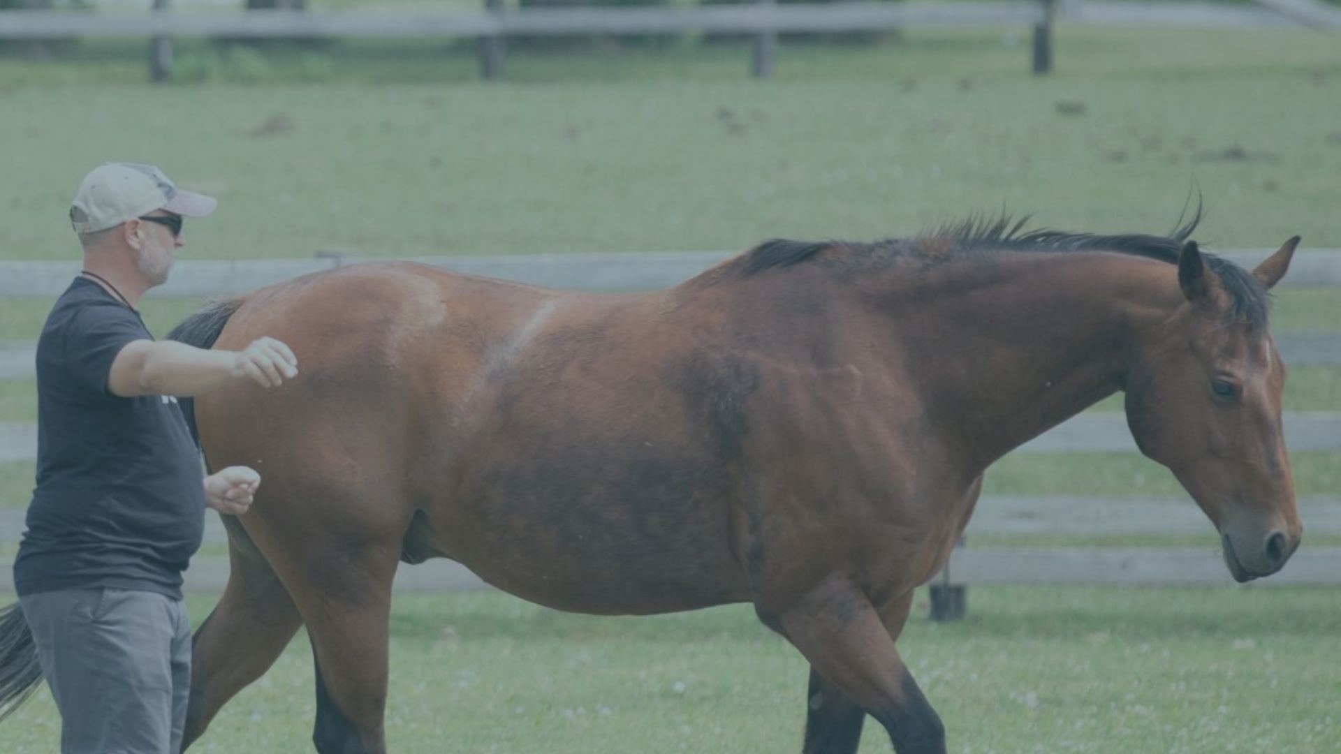 It Isn’t About Training—It’s About Transformation