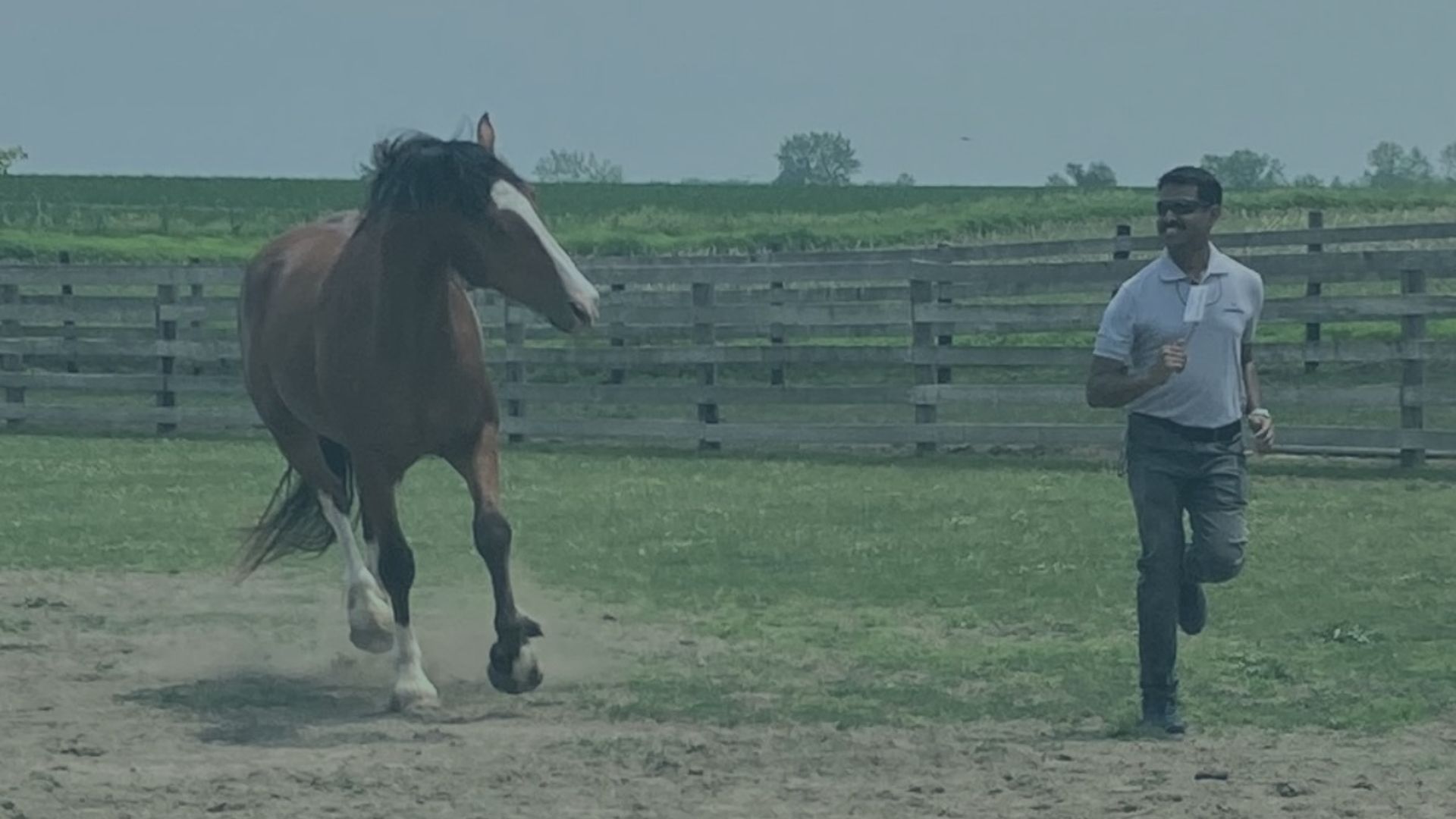 It’s the Only One!