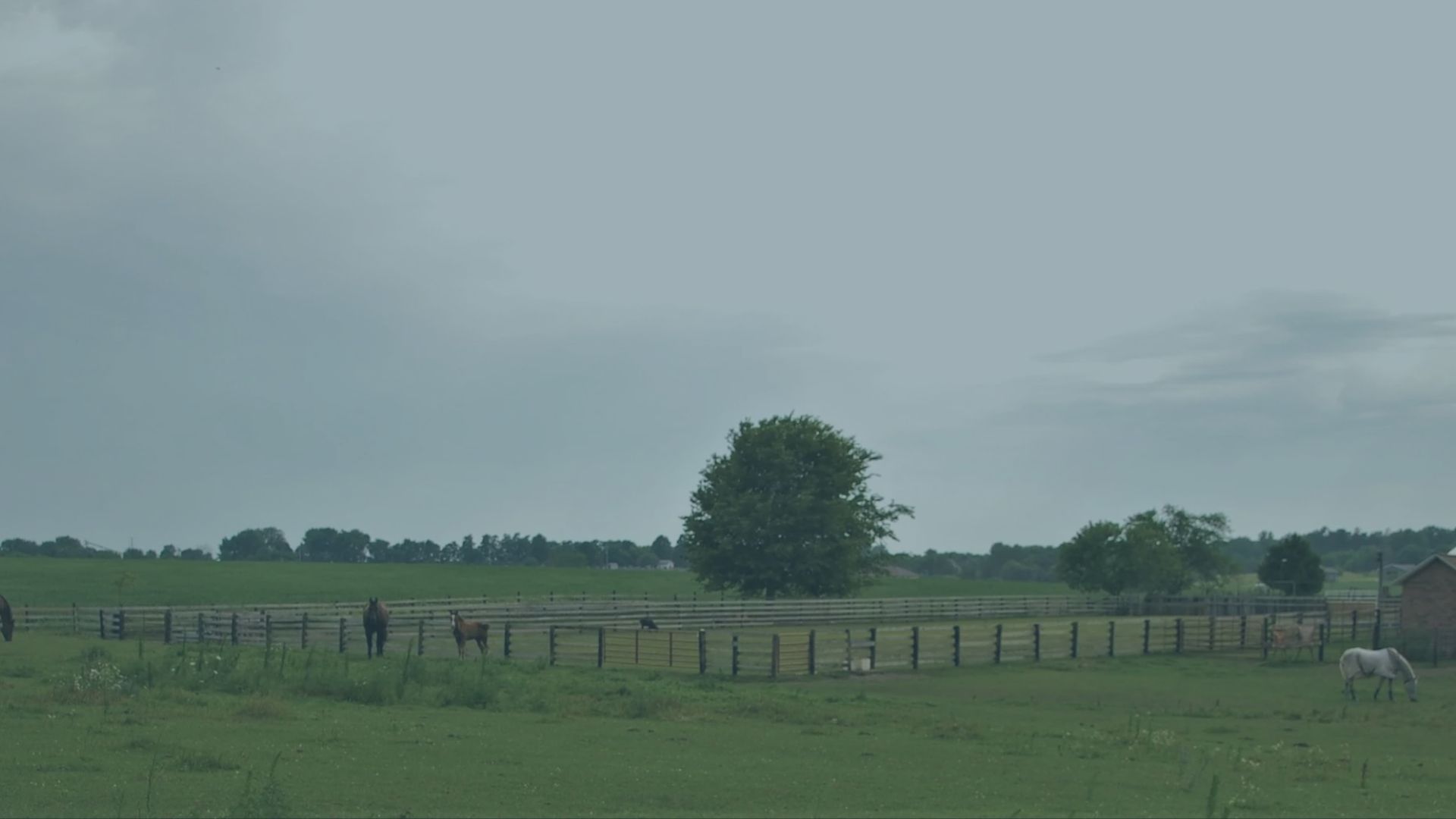 Lessons From the Herd: Relationship Verses Isolation