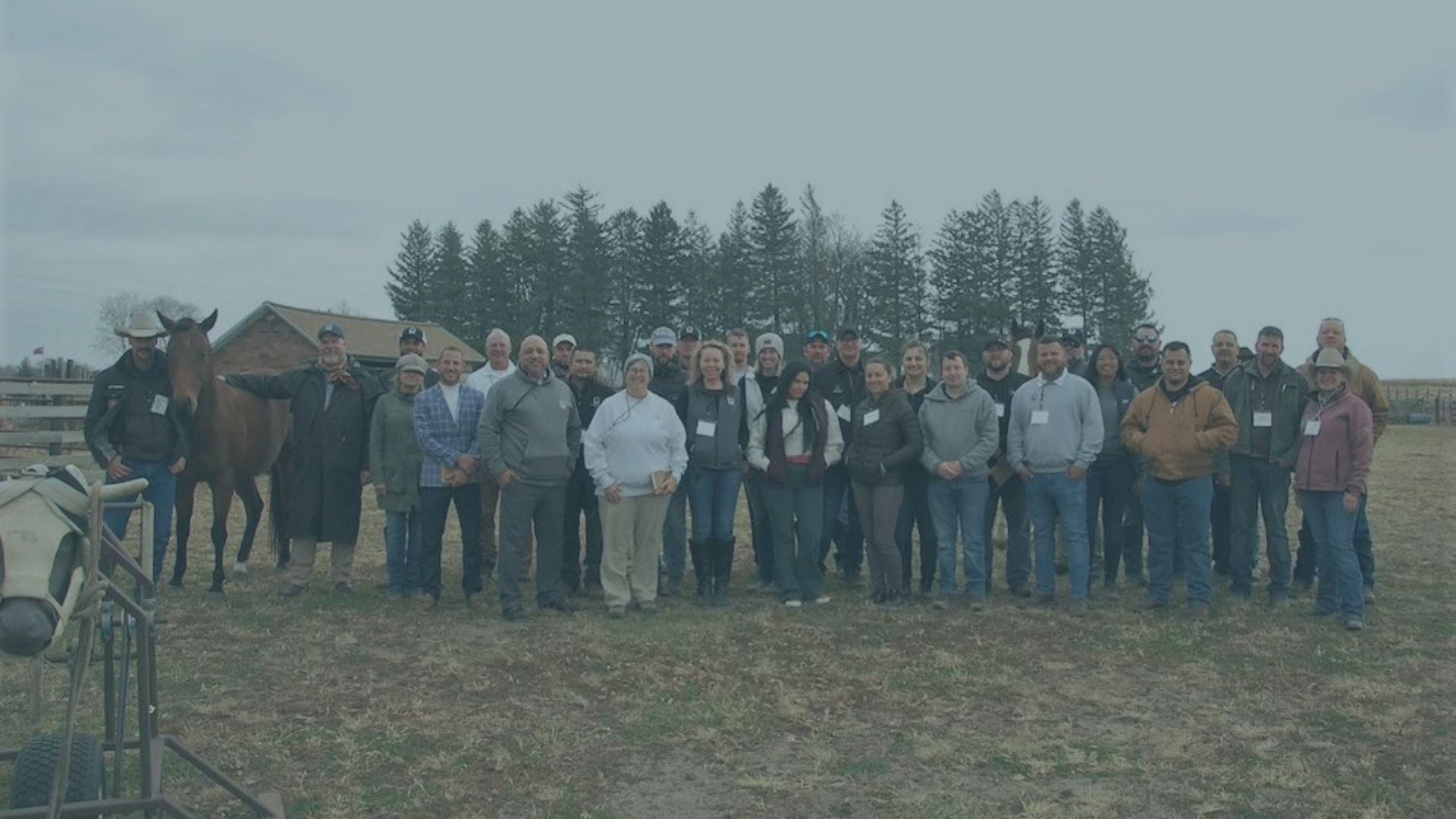 Yes! There is Research Behind Guided Leadership Experiences with Horses