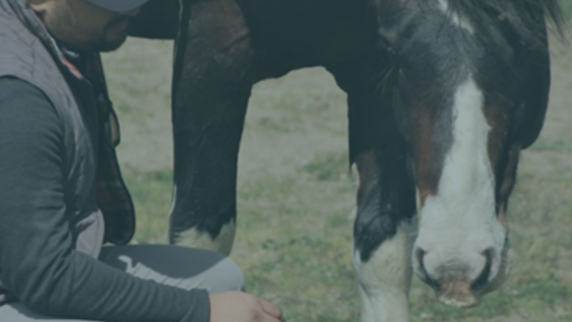 Soft Skills are in Great Demand in Today’s Workforce: Here’s Why