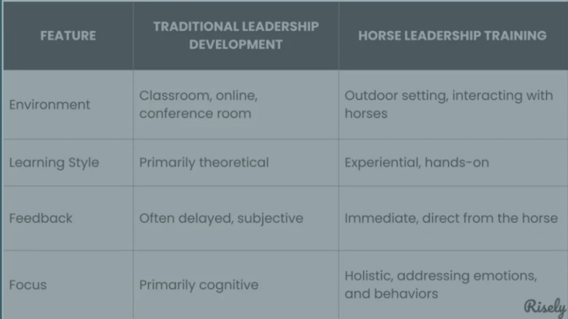 Understanding Horse Leadership Training