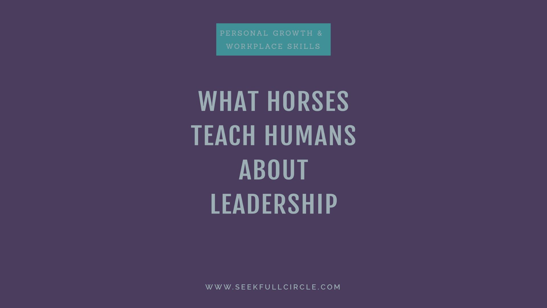 What Horses Teach Humans About Leadership