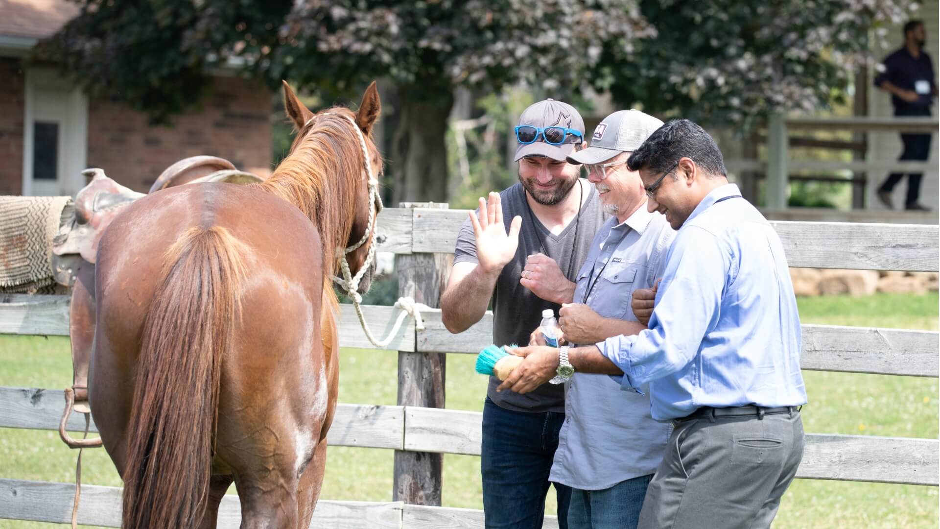 Yes! Research Supports Leadership Development with Horses